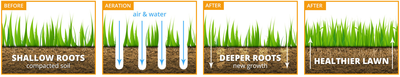 Lawn Aeration in Raleigh benefits of lawn aeration
