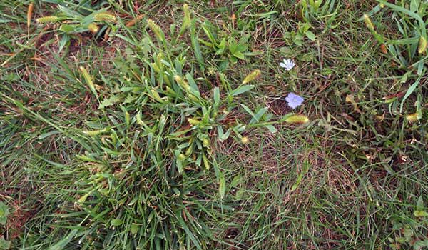 brown-spots Close up of brown spots.