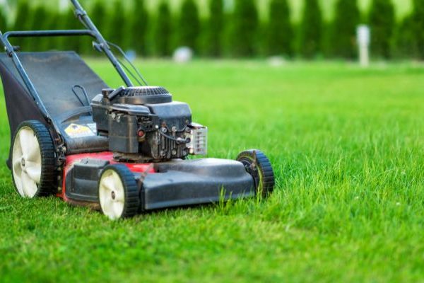 lawn mower in green lush lawn