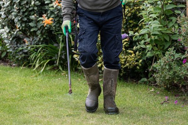 man spraying treatment in yard