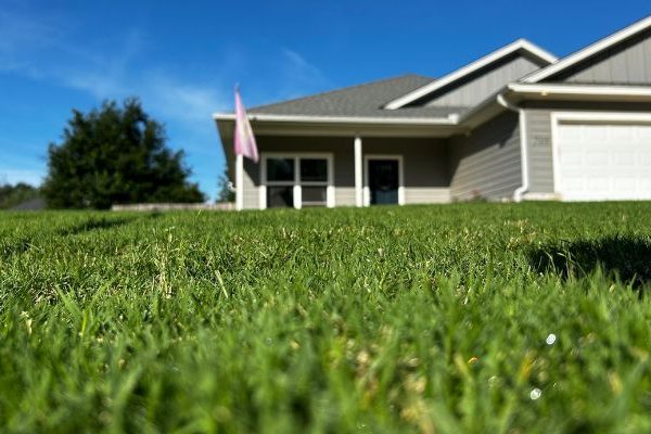 close up of bermuda grass blades with growth regulator